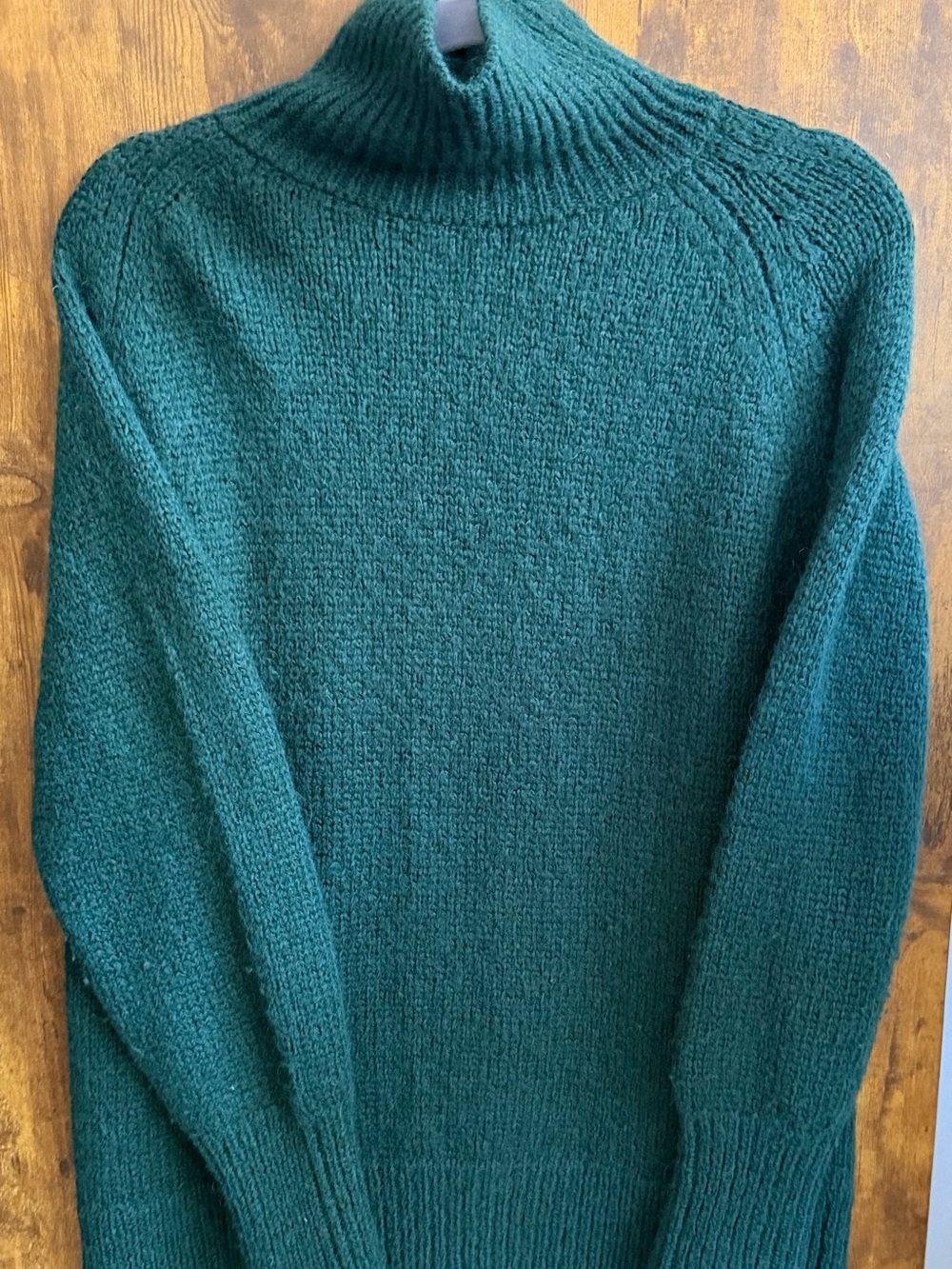 Aritzia The Group by Babaton 100% Alpaca Turtleneck Sweater XS